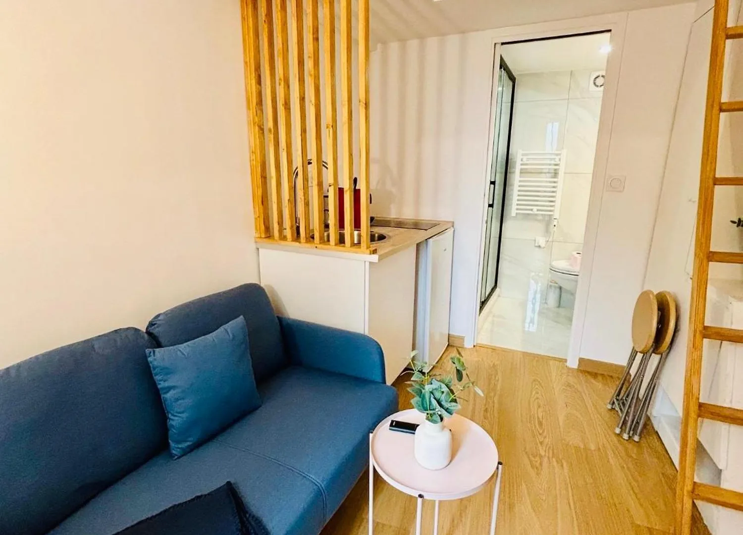 Studio Penthievre Champs Elysee Paris Lejlighed